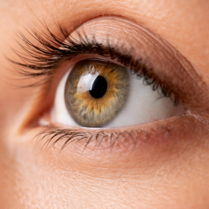 corneal