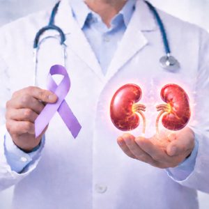 kidney
