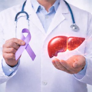 liver